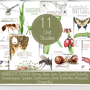 MINIBEASTS Units Bundle, 11 Unit Studies, Life Cycle, Anatomy, Nature Study, Science,  Handwriting, Homeschool, INSTANT DOWNLOAD