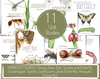 Minibeasts Unit Study Bundle: Life Cycle, Anatomy (Instant Download)