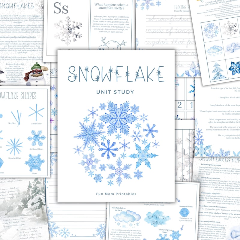 Create a Snowflake Database - Etsy Canada
