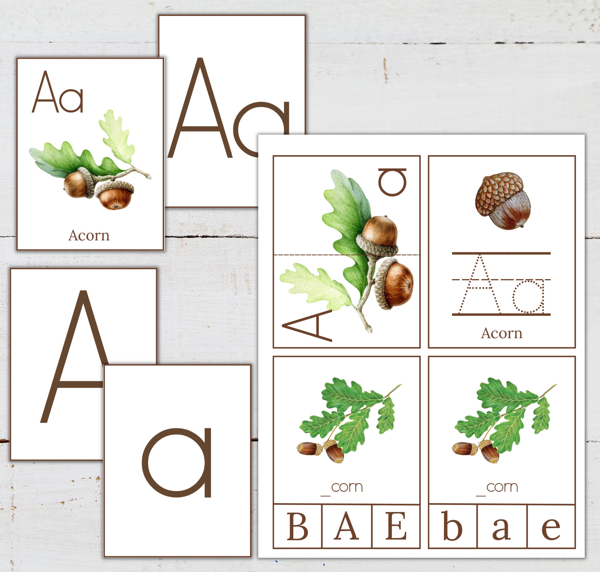 Letter A Acorn Learning Activities: Homeschool Printable (digital ...