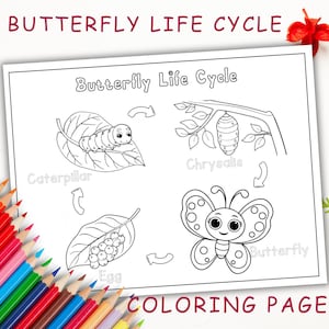 Butterfly Life Cycle Coloring Page, Printable Life Cycle of a Butterfly, Life Cycles, Butterfly Activity, INSTANT DOWNLOAD