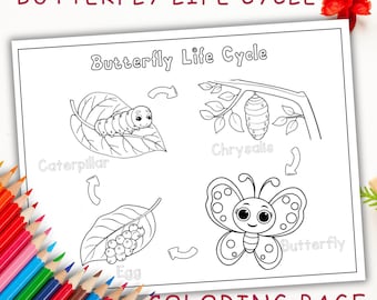 Butterfly Life Cycle Coloring Page: Educational Activity (INSTANT DOWNLOAD)