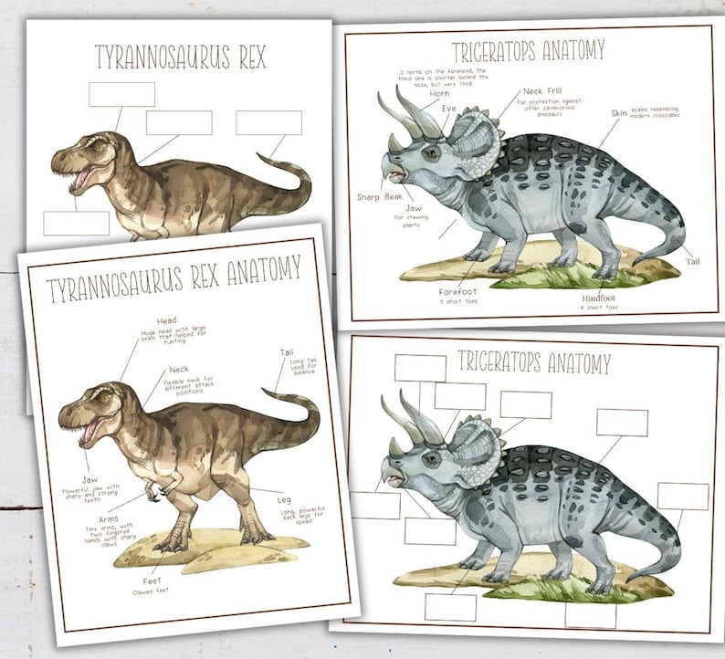 May include: Two printable dinosaur anatomy worksheets. The first worksheet features a Tyrannosaurus Rex with labels for the head, jaw, neck, arms, legs, and feet. The second worksheet features a Triceratops with labels for the sharp beak, jaw, horn, eye, neck frill, forefoot, and hindfoot.