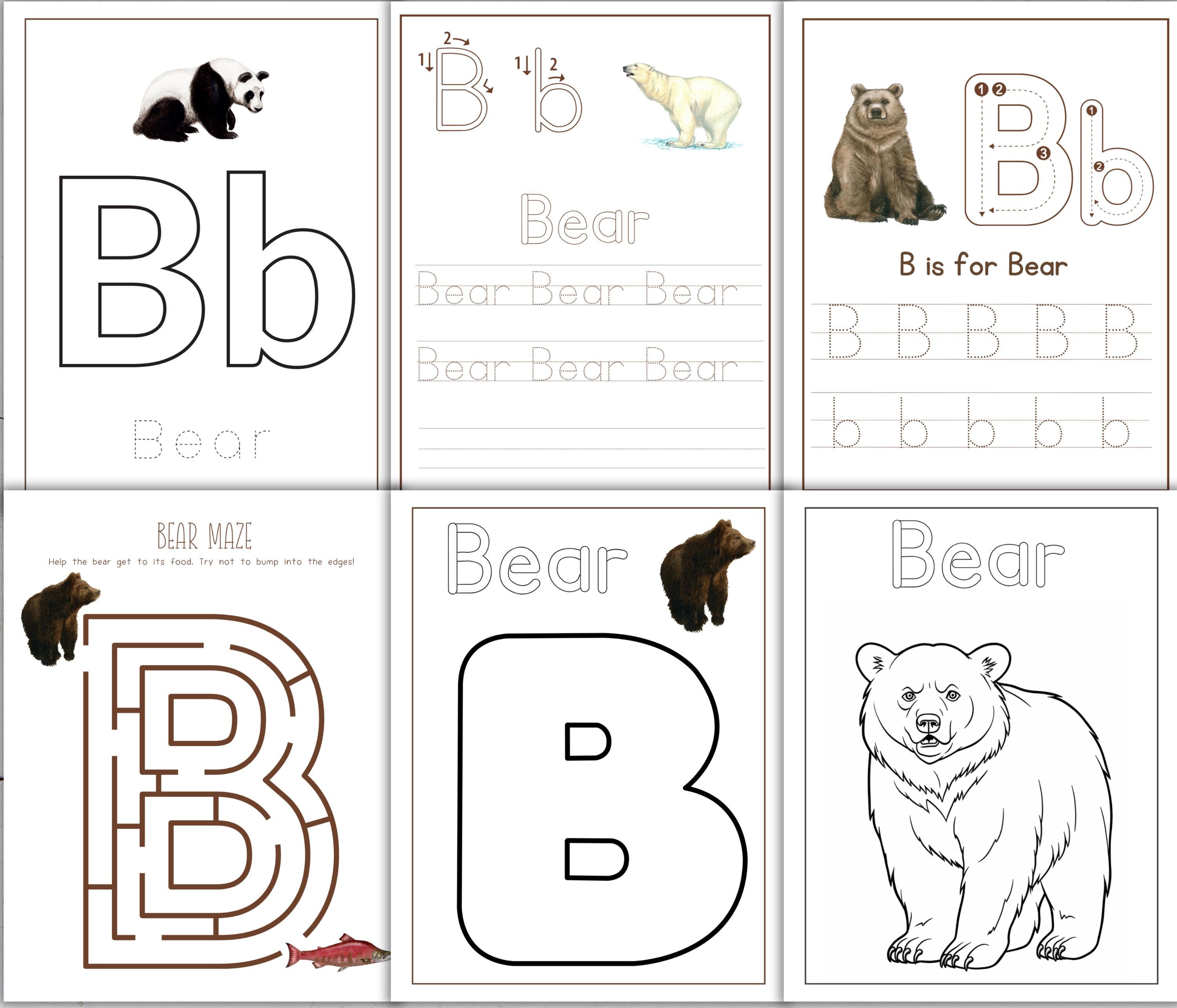 Bears Unit Study: Life Cycle, Anatomy, Homeschool Printable (instant ...