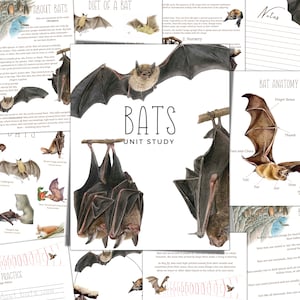 Étude de l’unité BATS, Cycle de vie, Anatomie, Étude de la nature, Science, Écriture manuscrite, Homeschool Printable, Montessori, TÉLÉCHARGEMENT instantané