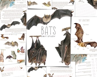 May include: A printable educational unit study about bats with illustrations of different bat species, a bat anatomy diagram, and a bat quiz. The title of the unit study is "Bats Unit Study".