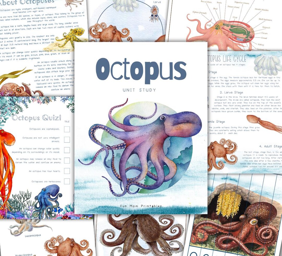 Octupus Workout OCTOPUS Unit Study, Life Cycle, Anatomy, Activity Pack, Instant ...