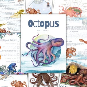 Könnte beinhalten: Eine Sammlung von Lernmaterialien über Oktopusse. Das zentrale Bild ist eine Aquarellillustration eines lila und rosa Oktopus. Drumherum befinden sich Seiten mit Text und Illustrationen über die Anatomie und den Lebenszyklus von Oktopussen.