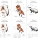 Winter Forest Animals Unit Study: Homeschool Printable (instant ...