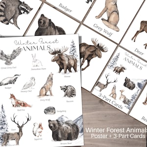 Póster ANIMALES DEL BOSQUE DE INVIERNO + Tarjetas de 3 partes, Montessori, Descarga instantánea