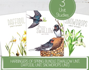 May include: A set of three printable unit studies for kids featuring a barn swallow, daffodils, and snowdrops. The illustrations are watercolor paintings with a green background.