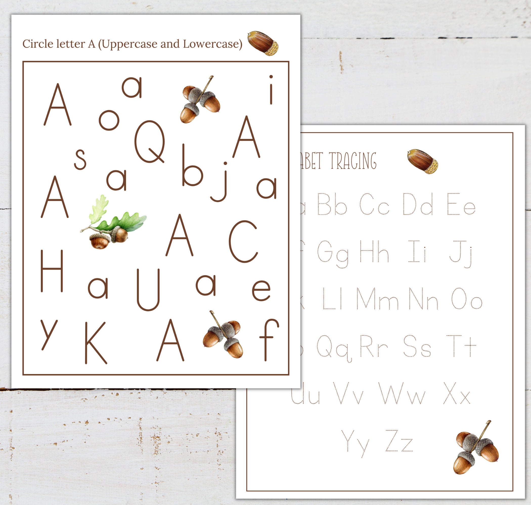 Letter A Acorn Learning Activities: Homeschool Printable (digital ...