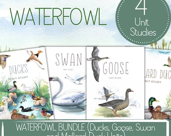 May include: A bundle of four unit studies on waterfowl, including ducks, swans, geese, and mallard ducks. Each study features watercolor illustrations of the birds. The title "WATERFOWL" is at the top, with "4 Unit Studies" in a circle.