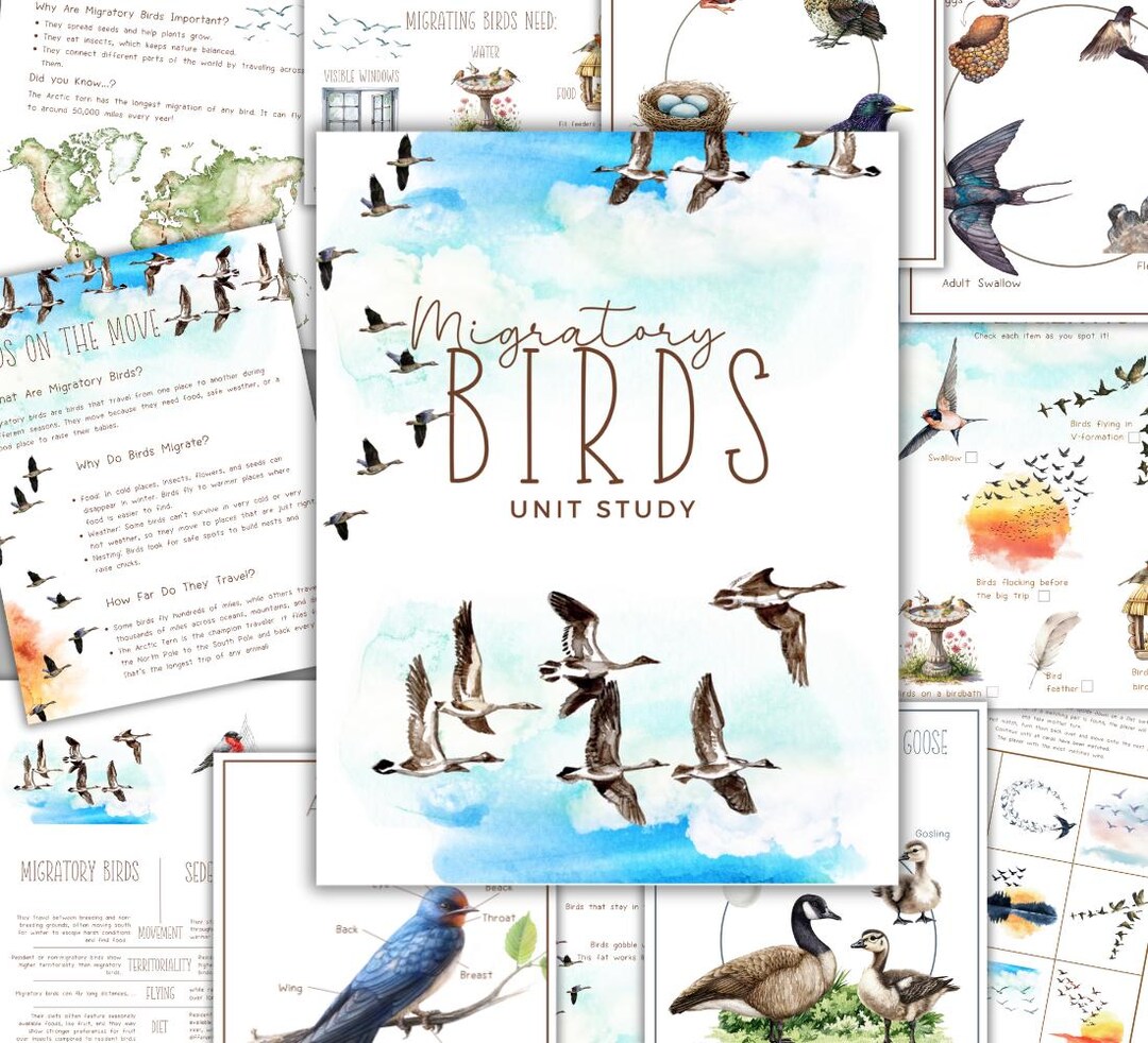 Migratory Birds Unit Study: Homeschool Printable (instant Download) - Etsy
