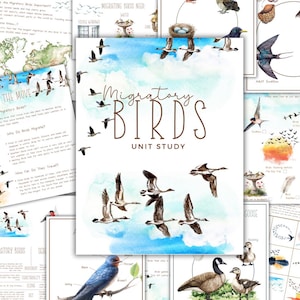 May include: A collection of educational printables with a watercolor theme, featuring illustrations of birds and maps. The central image reads "Migratory Birds Unit Study" in a decorative font, with additional text and illustrations of birds in flight.