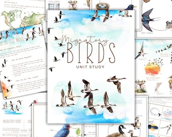 Migratory Birds Unit Study: Homeschool Printable (Instant Download)