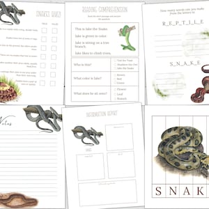 SNAKES Unit Study, Life Cycle, Anatomy, Nature Study, Science ...