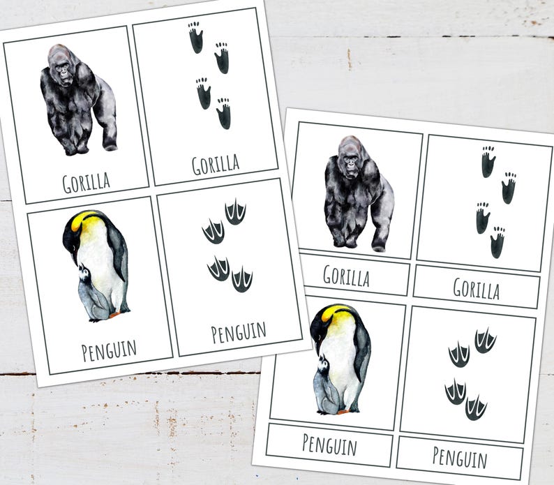 Animal Tracks Poster Set: Nature Study Cards & Puzzles (digital ...