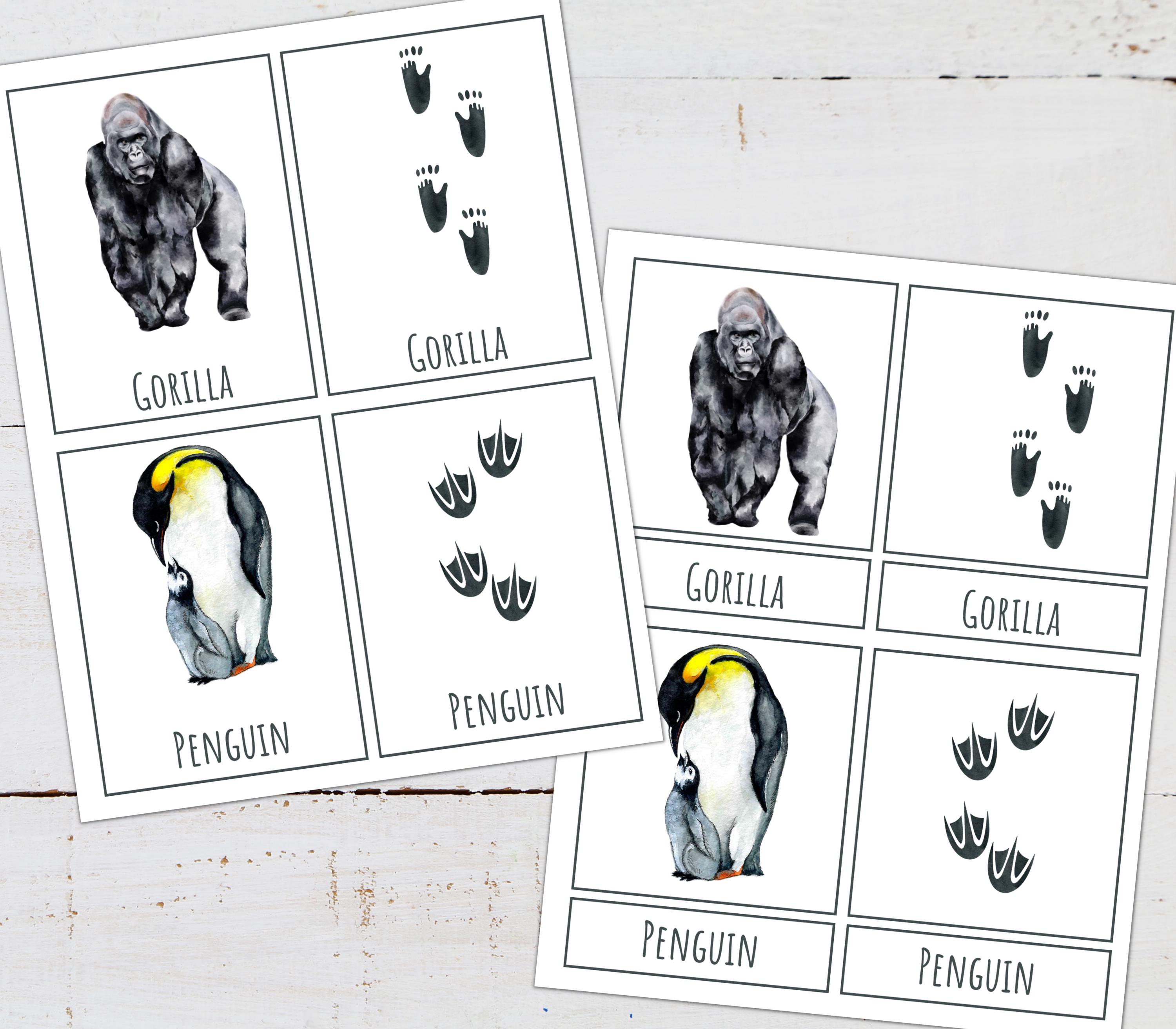 Animal Tracks Poster Set: Nature Study Cards & Puzzles (digital ...