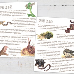 SNAKES Unit Study, Life Cycle, Anatomy, Nature Study, Science ...