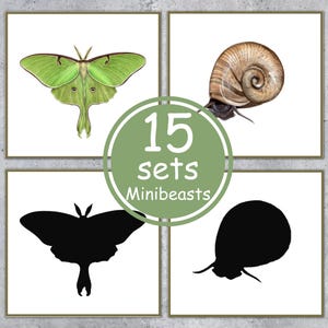 Tarjetas de emparejamiento de sombras MINIBEASTS. Imprimibles Montessori para niños pequeños. Descarga instantánea