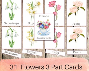 Flower 3-Part Cards: Watercolor Montessori Nomenclature (Digital Download)