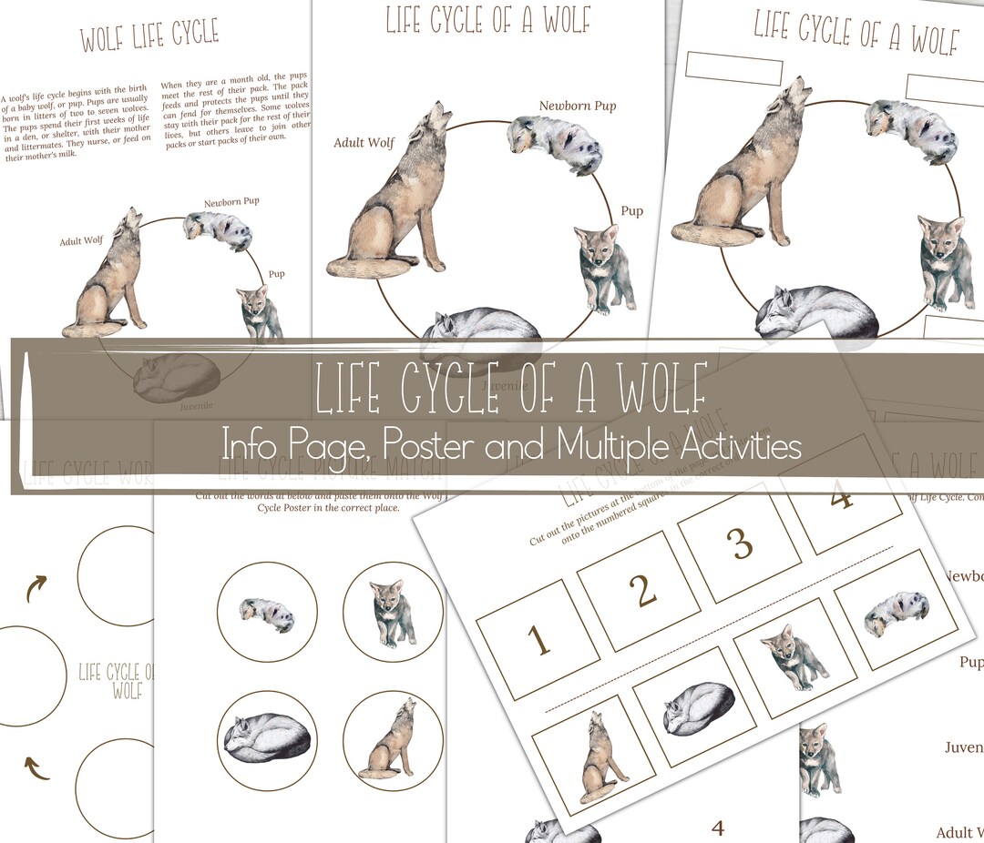 WOLF Life Cycle Nature Study Homeschool Printable Instant Download 