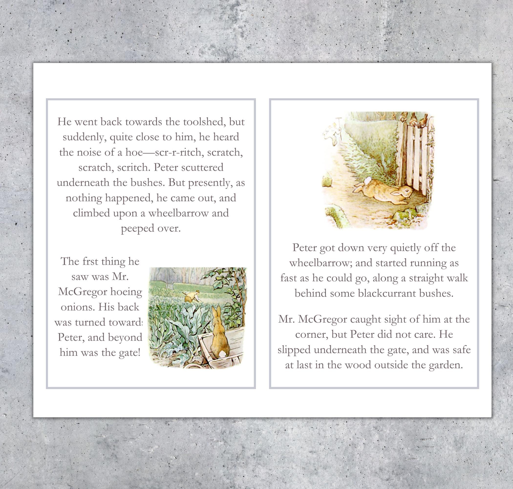 PETTER RABBIT Story Telling Flashcards, 5x7" Cards, Printable, Instant ...