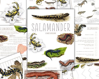 Może przedstawiać: Zestaw edukacyjnych materiałów do druku przedstawiających salamandry. Centralny obrazek zawiera tytuł "SALAMANDER UNIT STUDY" z ilustracjami różnych salamander. Dodatkowe strony szczegółowo opisują anatomię, wygląd i dietę.