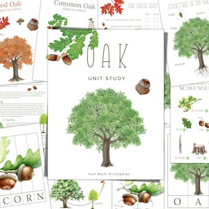 OAK Unit Study, Life Cycle, Anatomy, Nature Study, Science,  Handwriting, Homeschool, Montessori, INSTANT DOWNLOAD