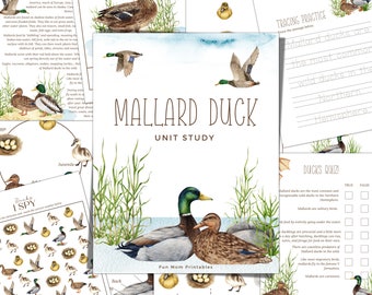 Mallard Duck Unit Study: Homeschool Science, Anatomy (Instant Download)