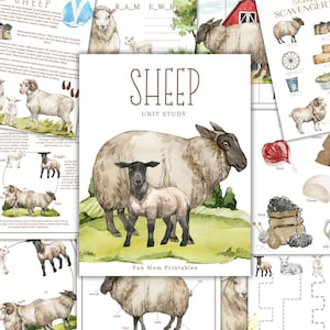 Estudio de unidad sobre OVEJAS, ciclo de vida, anatomía, animales de granja, estudio de la naturaleza, ciencia, material imprimible para educación en el hogar, descarga instantánea