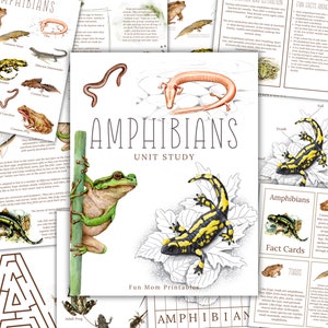 ANFIBI Studio unitario, Ciclo di vita, Anatomia, Studio della natura, Scienza, Scrittura a mano, Homeschool stampabile, Montessori, Download istantaneo