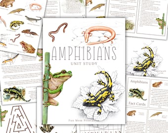 Puede incluir: Un estudio de unidad imprimible sobre anfibios. Las ilustraciones coloridas presentan ranas, salamandras y tritones. La unidad incluye tarjetas de información, una búsqueda de palabras, un laberinto y una página para colorear. El texto en la página dice "Amphibians Unit Study" y "Fun Mom Printables".