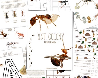 ANT Colony Unit Study, Life Cycle, Anatomy, Nature Study, Science,  Handwriting, Homeschool Printable, Montessori, INSTANT DOWNLOAD