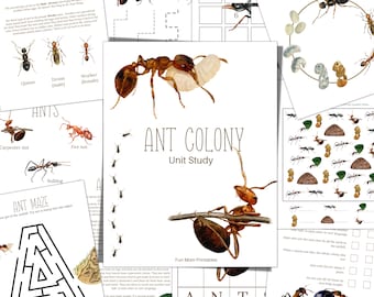 Estudio de la unidad sobre la colonia de hormigas: Material de ciencias para la educación en casa (descarga inmediata)