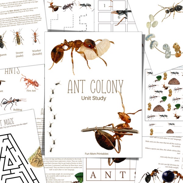 ANT Colony Unit Study, Cycle de vie, Anatomie, Étude de la nature, Science, Écriture manuscrite, Homeschool Printable, Montessori, TÉLÉCHARGEMENT INSTANTANÉ