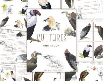 Vultures Unit Study: Life Cycle, Anatomy, Homeschool Printable (Instant Download)