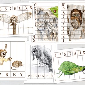 ANIMAL DEFENSES Unit Study, Anatomy, Nature Study, Science, Handwriting ...