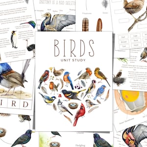 Étude sur les oiseaux, cycle de vie, anatomie, étude de la nature, science, écriture manuscrite, école à la maison, impression Montessori, téléchargement immédiat