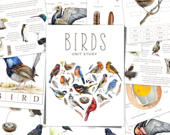 Estudio de unidad BIRD, ciclo de vida, anatomía, estudio de la naturaleza, ciencia, escritura a mano, educación en el hogar imprimible, Montessori, descarga instantánea