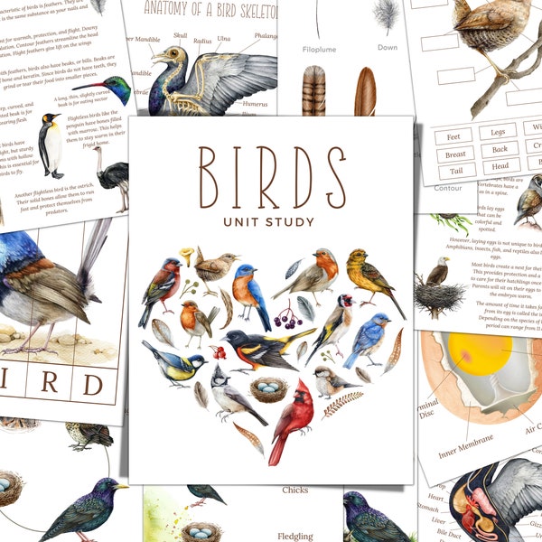 BIRD Unit Study, Life Cycle, Anatomy, Nature Study, Science,  Handwriting, Homeschool Printable, Montessori, Instant Download