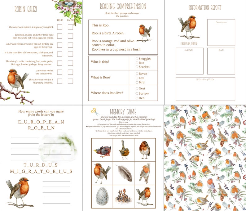 Robins Worksheets.pdf European Robin Unit Study: Homeschool Science Printable (instant ...