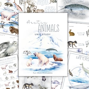 Pode incluir: Uma coleção de materiais educativos sobre animais árticos. A imagem central é uma capa de livro intitulada "Arctic Animals Unit Study" com ilustrações de um urso polar, uma morsa e pinguins. Outras páginas mostram um narval, uma raposa ártica e o ciclo de vida das baleias.