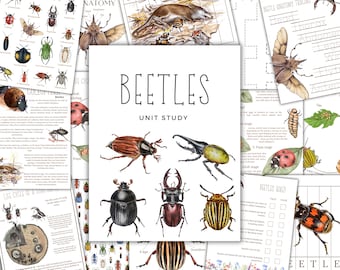 May include: A set of printable educational resources for a unit study on beetles. The colorful illustrations feature various beetle species, including a stag beetle, a rhinoceros beetle, and a ladybug. The worksheets include a beetle anatomy tracing sheet, a life cycle of a stag beetle diagram, and a beetle quiz.