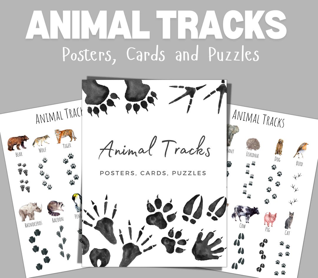 Animal Tracks Poster Set: Nature Study Cards & Puzzles (digital ...