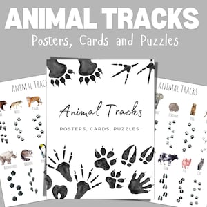 ANIMAL TRACKS, Poster + Karten + Puzzles, Naturstudie, 3-teilige Tierkarten, Lerndruck, sofortiger Download