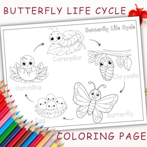 Butterfly Life Cycle Coloring Page, Printable Life Cycle of a Butterfly, Life Cycles, Butterfly Activity, INSTANT DOWNLOAD