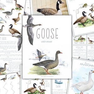 May include: A collection of educational printables with watercolor illustrations of geese. The central image features the title "GOOSE UNIT STUDY" with a drawing of a goose in flight. Other pages include facts, anatomy, and life cycle diagrams.