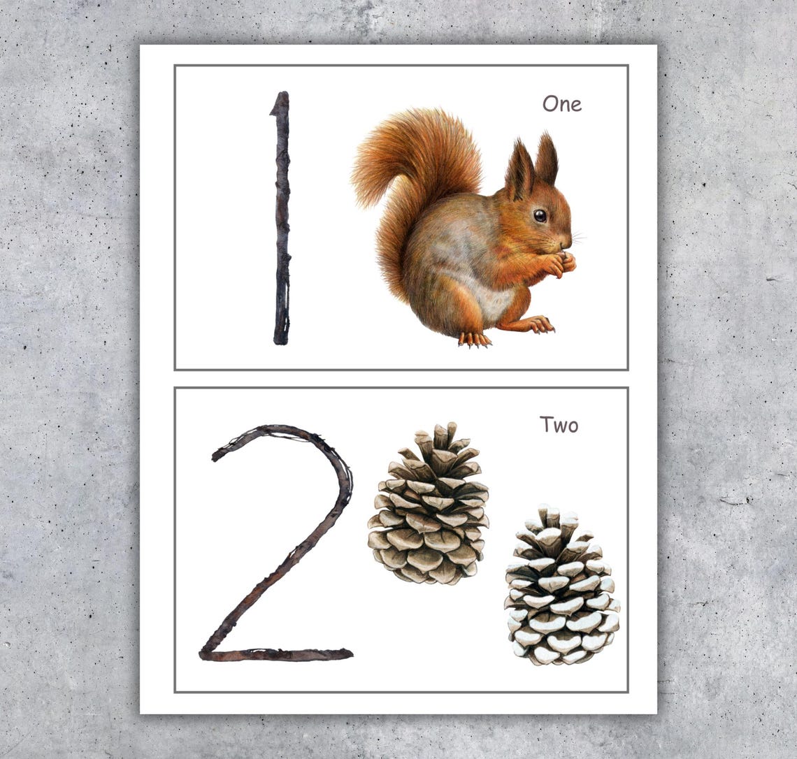 AUTUMN/FALL NATURE Counting Flashcards, 1 to 10 Counting, Toddler ...